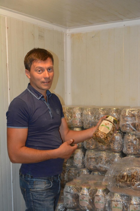 На Путильщині працює кооператив зі збору грибів