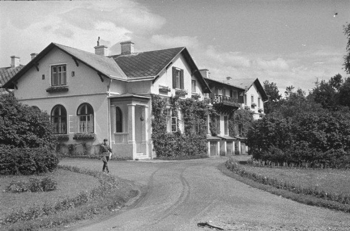 У мережі з'явились рідкісні фото, зроблені на Буковині у 1940 році