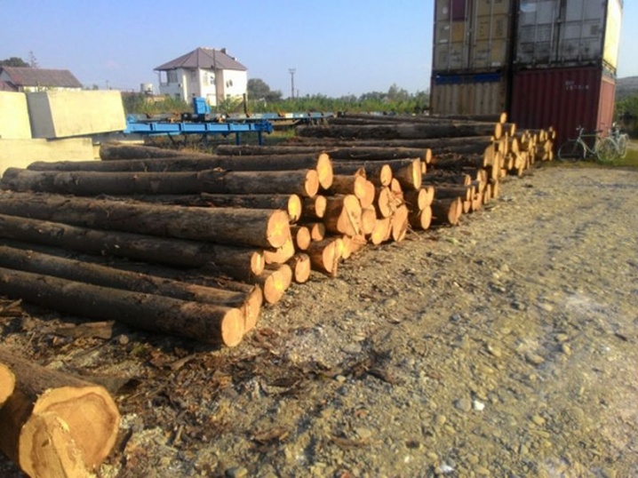 Майже 60 кубометрів деревини незаконно перевозили через Буковину до Румунії
