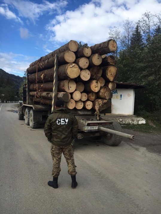 На Буковині СБУ затримала вантажівку, в якій незаконно перевозили деревину