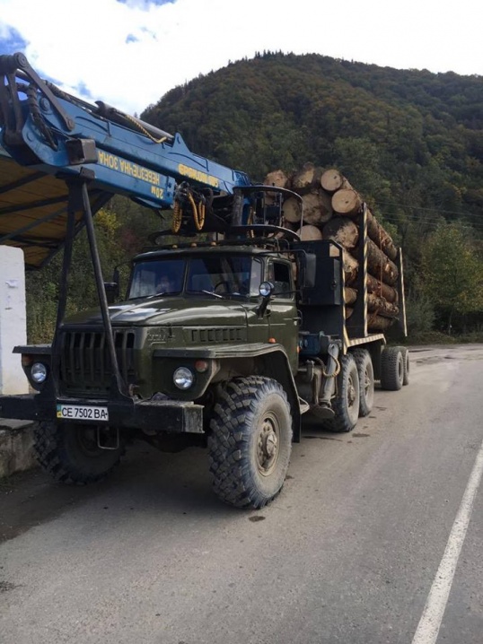 На Буковині СБУ затримала вантажівку, в якій незаконно перевозили деревину