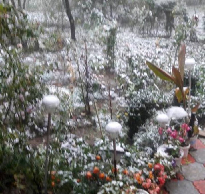У Чернівцях випав перший сніг