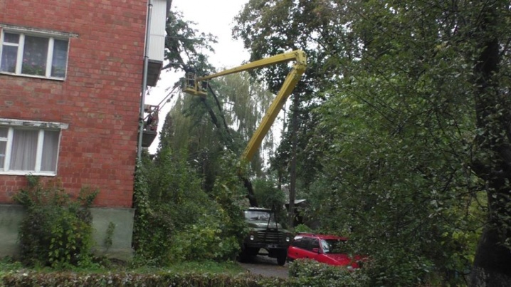 У Чернівцях дерево впало на житловий будинок