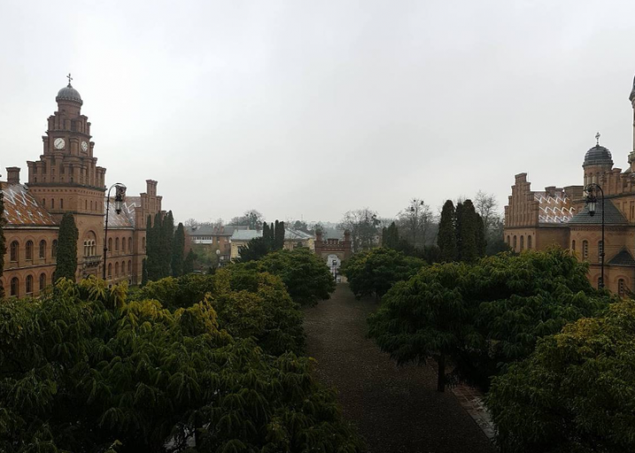 Політика Давіда Сакваралідзе вразив ЧНУ