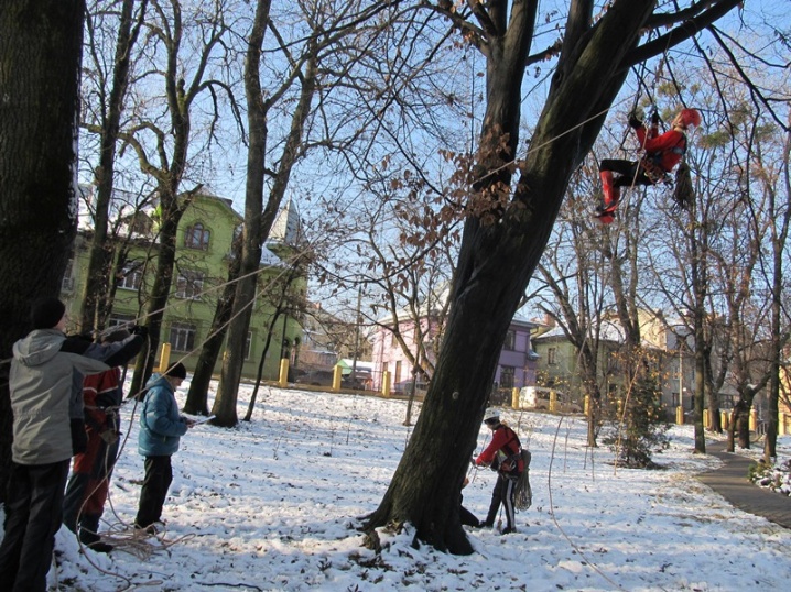 У парку Шевченка відбулися Екстремальні ігри