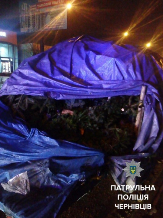 На вулиці Героїв Майдану поліціянти виявили 80 нечіпованих ялинок