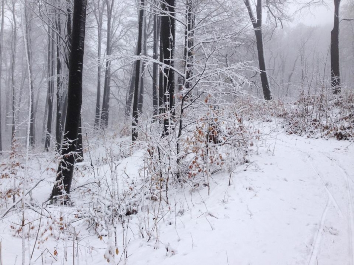 Район Цецино у Чернівцях засипало снігом