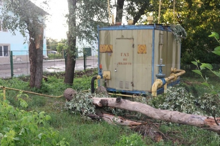 Новоселиччина постраждала від буревію – повалені дерева пошкодили дахи та знеструмили села