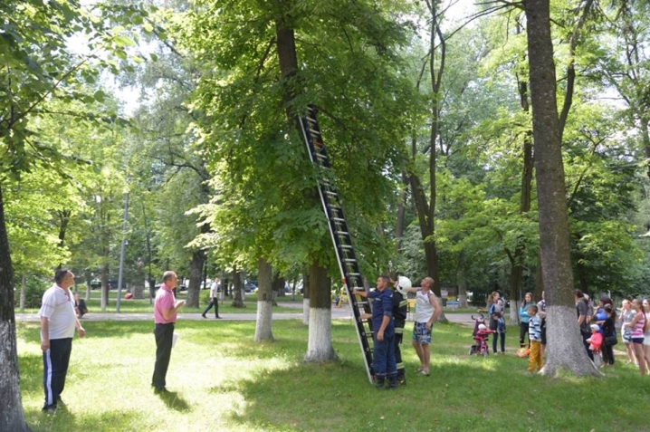 У Сторожинці рятувальники зняли з дерева кошеня