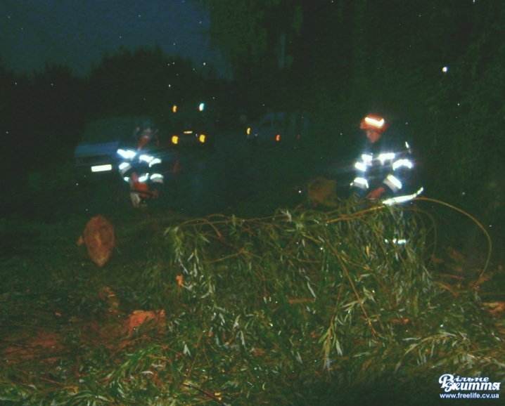 На Кіцманщині повалені після буревію дерева перекрили рух транспорту