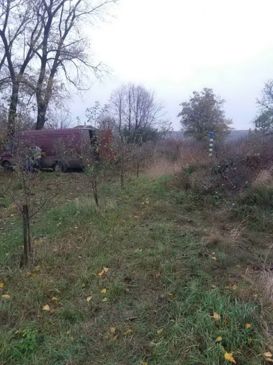 Через українсько-молдовський кордон намагалися незаконно переправити саджанці троянд