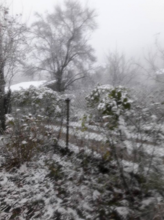 На Цецино у Чернівцях лежить сніг