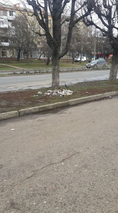 На проспекті Незалежності вже понад місяць лежить купа сміття