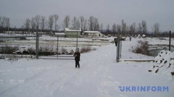 На Буковині підприємець організував на місці сміттєзвалища форелеве господарство