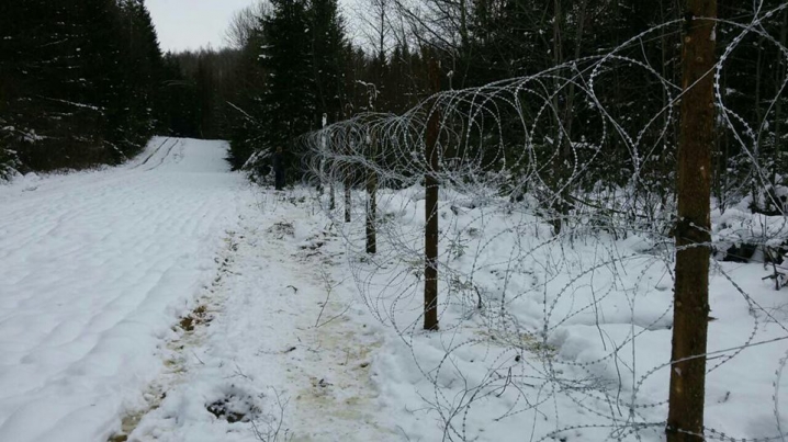 На буковинському кордоні риють рови та тягнуть колючий дріт