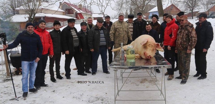 На Буковині відновили фестиваль «Помана свині»