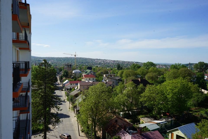 Чернівчанка опублікувала приголомшливі фото з дахів міста