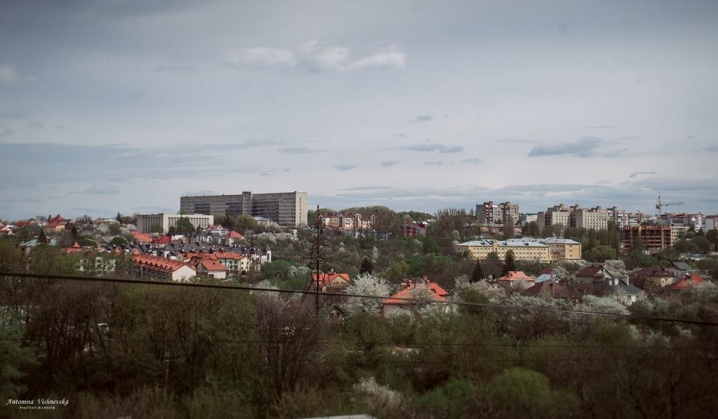 Чернівчанка опублікувала приголомшливі фото з дахів міста