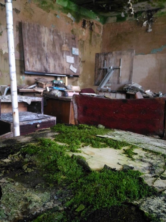 Чернівецька Прип’ять – у мережі з’явилися моторошні фото покинутого заводу «Кварц»