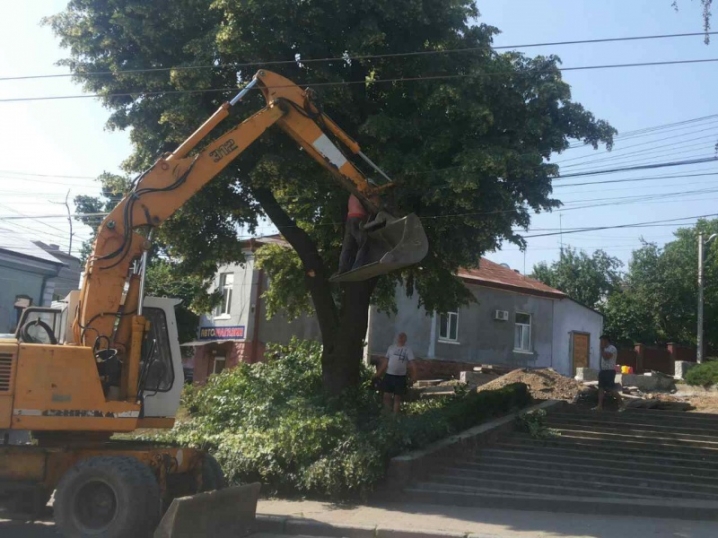 У сквері, де встановлять пам’ятник жертвам Голодомору і політичних репресій, розпочали ремонт