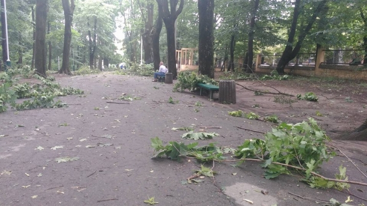Під час потужної зливи у Чернівцях затопило парк Шевченка