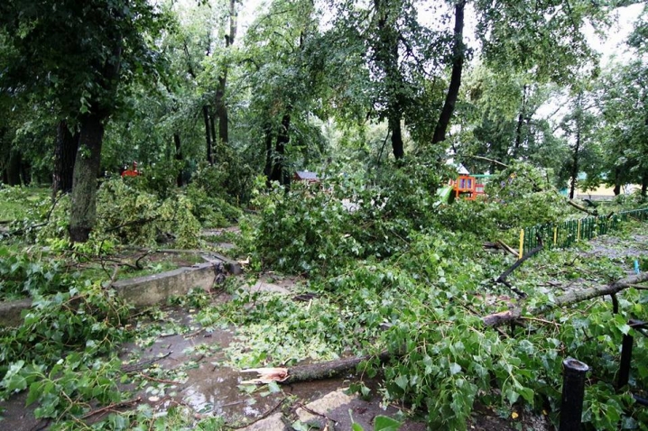 Шквальний вітер та злива знеструмили будинки у Новоселиці