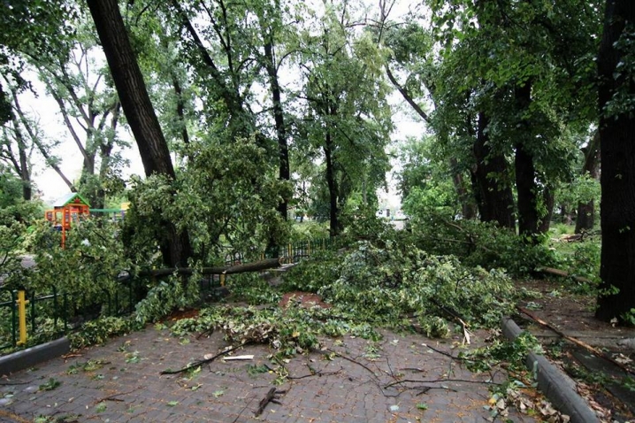 Шквальний вітер та злива знеструмили будинки у Новоселиці