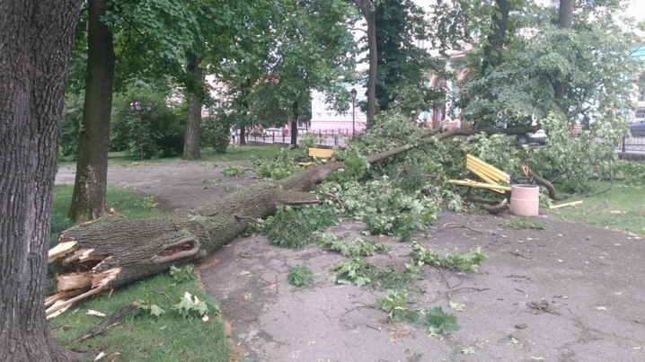 Повалене дерево розтрощило лавку у сквері на Соборній площі