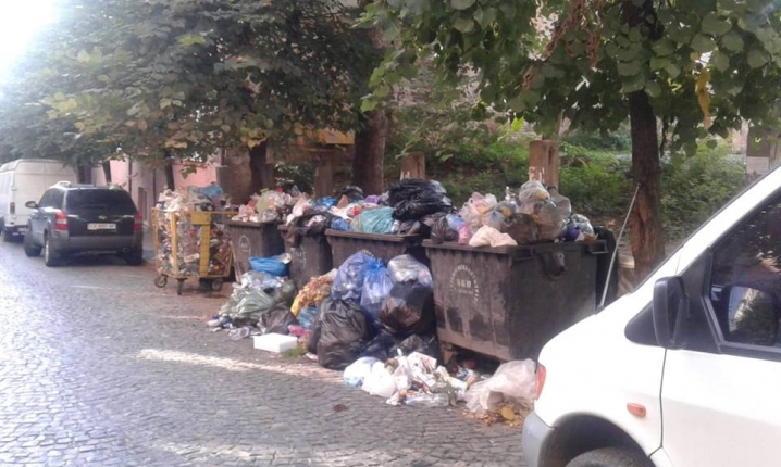 Закиданий тротуар і зграї котів – на вулиці Кайндля кілька днів не вивозять сміття