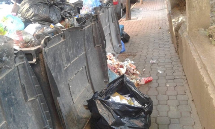 Закиданий тротуар і зграї котів – на вулиці Кайндля кілька днів не вивозять сміття