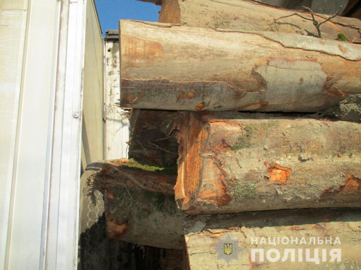 Вантажівку з діловою деревиною без відповідних документів виявила поліція на Сторожинеччині