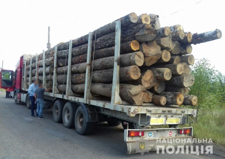 Поліція Буковини викрила двох перевізників лісодеревини без відповідних документів