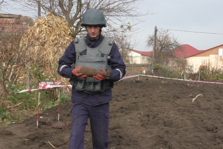 У буковинки на городі відкопали 10 боєприпасів часів Другої світової війни У буковинки на городі відкопали 10 боєприпасів часів Другої світової війни