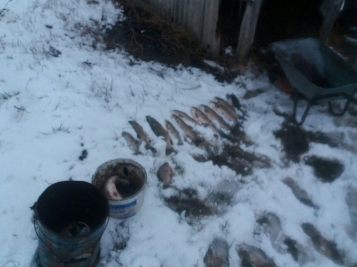 На Сокирянщині чоловік незаконно наловив риби на 188 тисяч гривень