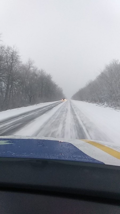 Сильний сніг та погана видимість: ситуація на дорогах Буковини