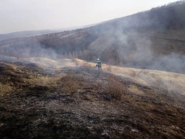 За добу на Буковині виникли 11 пожеж через спалювання сухої трави
