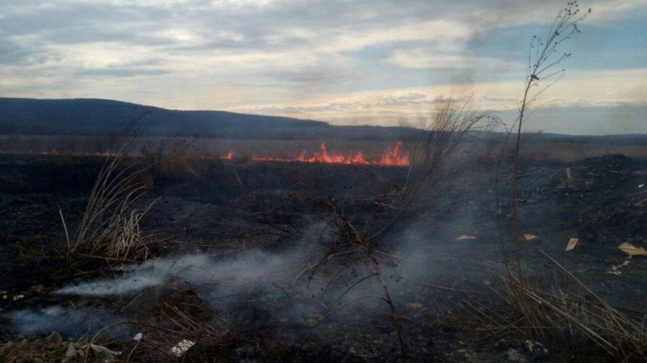На Новоселиччині поблизу старого кладовища горіла суха трава