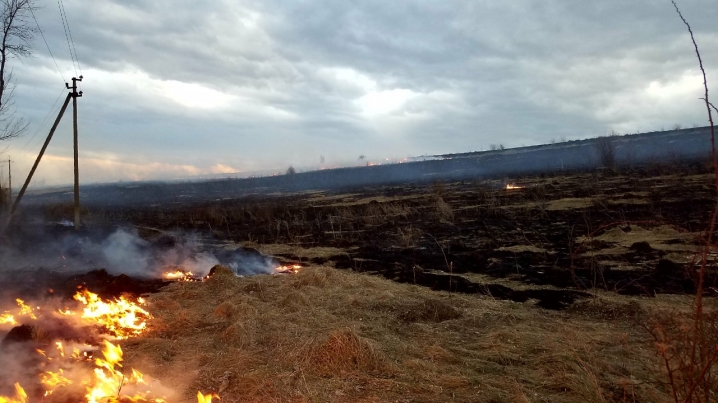 Полум’я могло перекинутися на будинки: на Кіцманщині підпалили суху траву