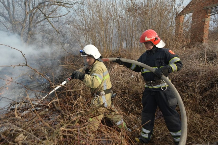 У Лужанах через спалювання трави згоріла насосна станція підприємства «Укрспирт»