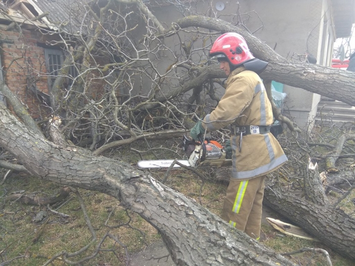 Повалені дерева та зірвані покрівлі: на Буковині рятувальники долали наслідки негоди