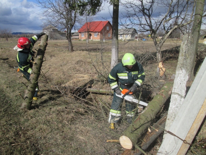 Повалені дерева та зірвані покрівлі: на Буковині рятувальники долали наслідки негоди