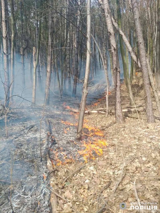 На Заставнівщині горить кілька гектарів лісу