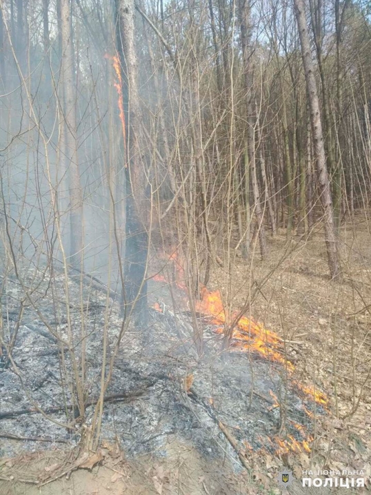 На Заставнівщині горить кілька гектарів лісу