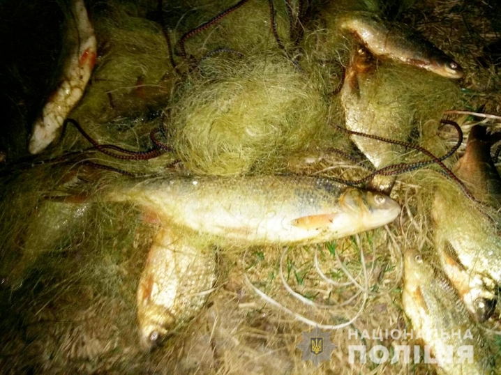 Наловив риби з Червоної книги: на Буковині затримали порушника