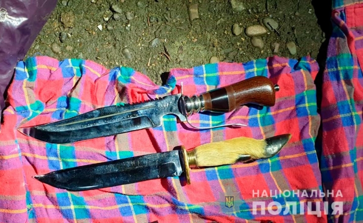 Гвинтівки, пістолети, ножі та набої: поліціянти вилучили у трьох буковинців цілий арсенал зброї