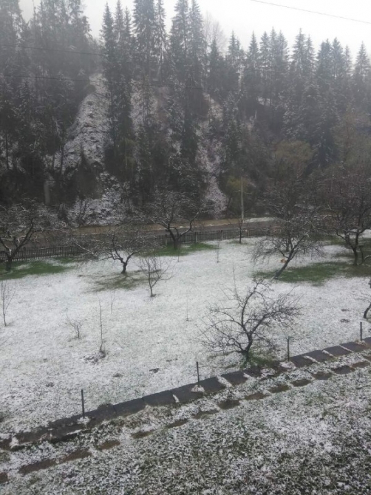 На Путильщині випав сніг