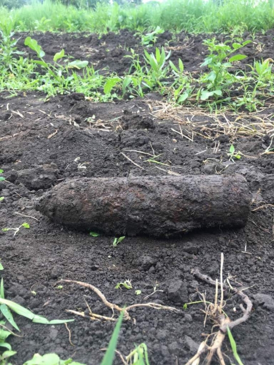 Буковинець на городі відкопав снаряд часів I Світової війни
