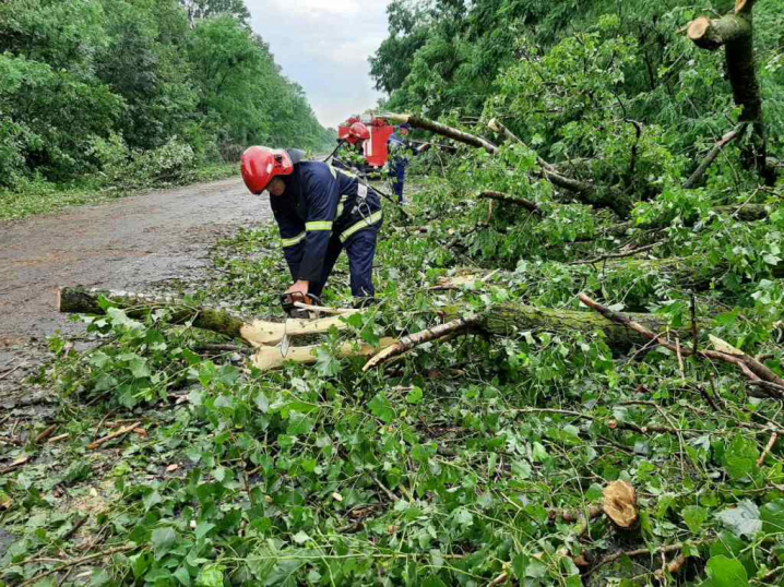 Струс мозку, травма ока та підозра на перелом: буревій на Хотинщині повалив дерева на людей, які чекали маршрутку