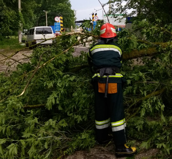 Струс мозку, травма ока та підозра на перелом: буревій на Хотинщині повалив дерева на людей, які чекали маршрутку