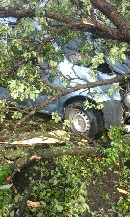 Перекривали дахи, відкачували воду, прибирали повалені дерева - рятувальники продовжують ліквідовувати наслідки негоди на Буковині
